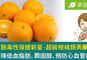 無紅麴毒性保健新星「超級柑橘類黃酮」：有效降低血脂肪、膽固醇、預防心血管疾病！