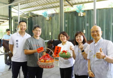 嘉市樂齡馬術伴長輩培養好肌力　黃敏惠送「月子禮」祝榮譽市馬lulu添丁