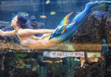 大葉高島屋30週年慶獨家獻映！人魚秀、味全龍助陣　特賣3折起吸客