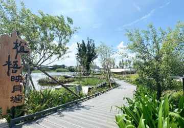 雲林口湖鄉「椬梧映月塘」永續理念　榮獲金質獎優等殊榮