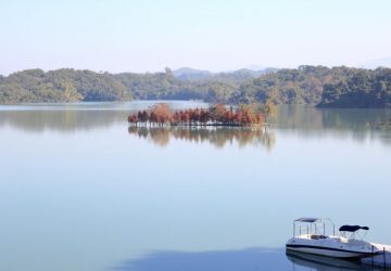 農田水麗金蛇旺！烏山頭水庫風景區春節9天不打烊