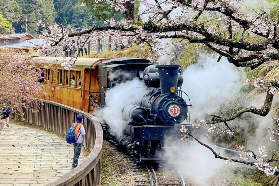 阿里山百年蒸汽賞櫻列車2／25開放訂票　感受鐵道山林古典魅力