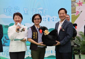 盧媽媽送黑天鵝「陪讀」東海大學新生　9月一起入學成最萌大一