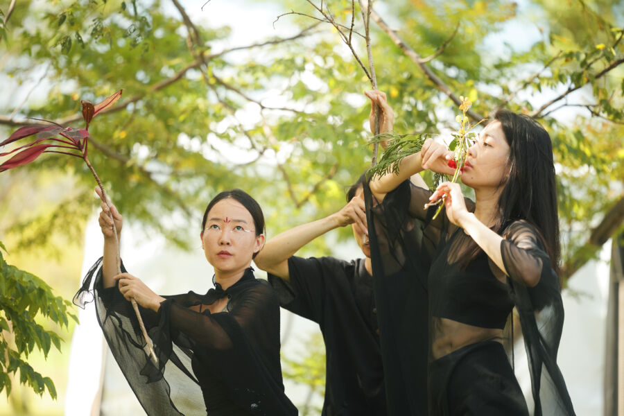 臺東縣府打造全臺最大瀰漫式療癒場域！《自然醒慢活祭－夏日療癒祭》領千人展開療癒旅程