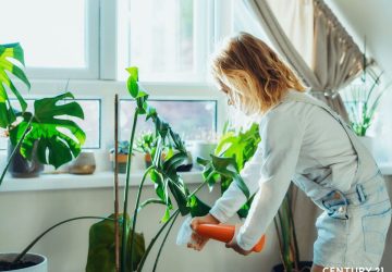 不用狂開冷氣！21世紀不動產揭密涼夏居家打造法