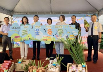 三芝茭白筍盛產中　農藝共融預告豐饒盛會
