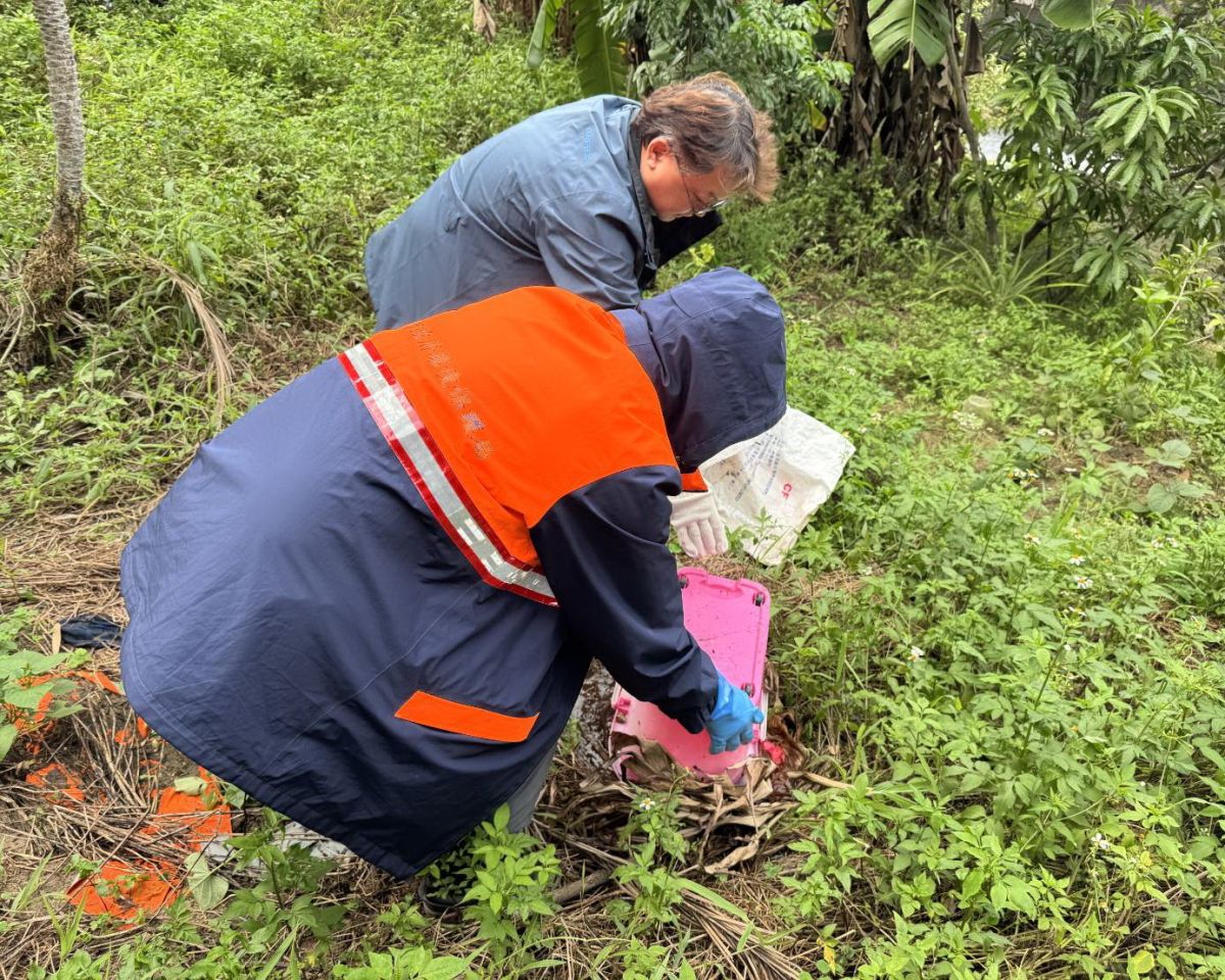 新北登革熱現本土病例 市府啟動區塊防治加強孳清