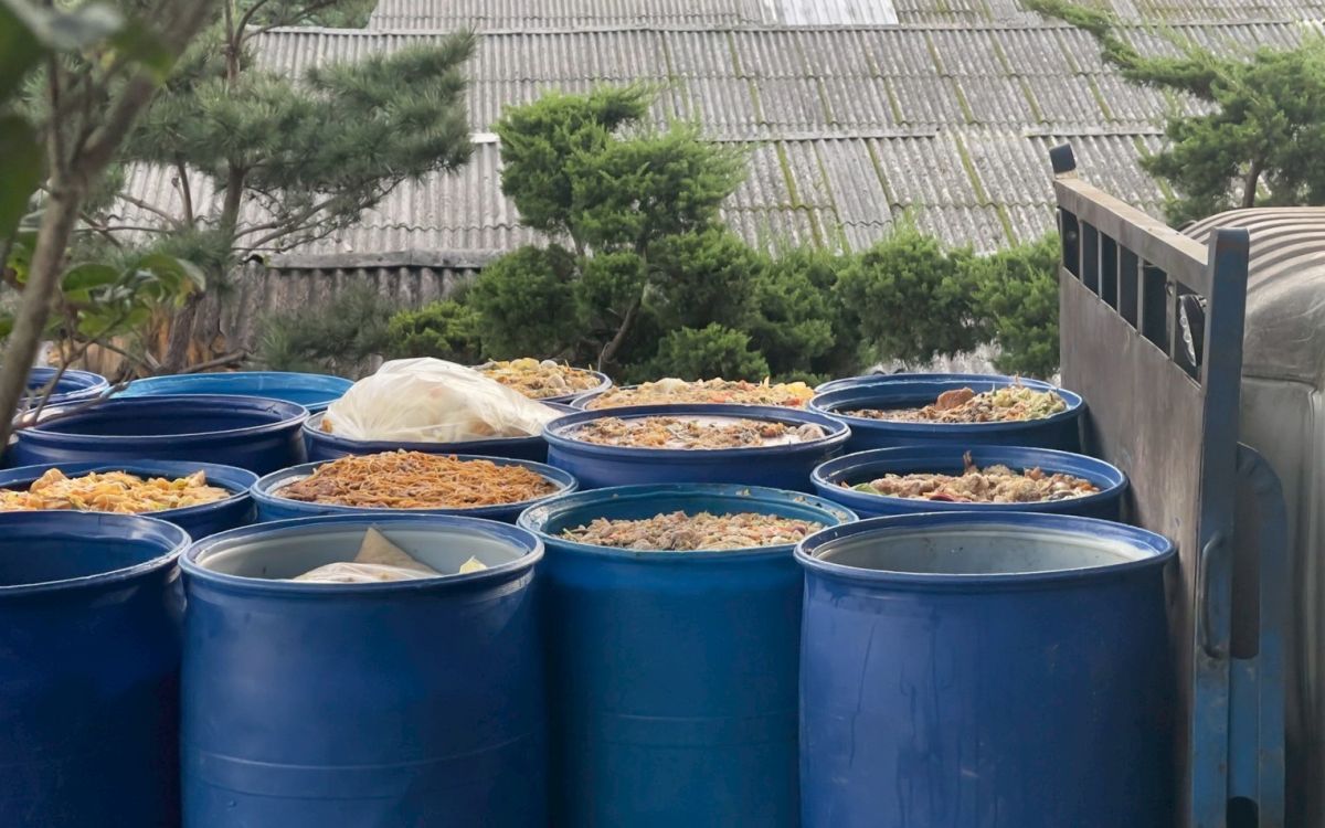 林口豬場餵未蒸煮廚餘遭重罰206萬 新北封場禁上市