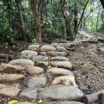 大棟山芒花海綻放！尋寶任務輕鬆走訪小百岳與百年車站