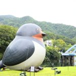 入冬就到坪林暖心走走　來一趟北勢溪畔舒心旅程