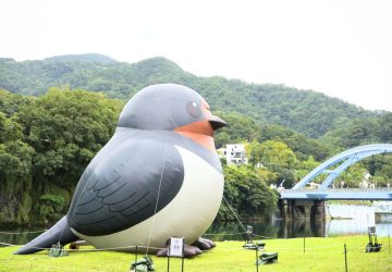 入冬就到坪林暖心走走　來一趟北勢溪畔舒心旅程