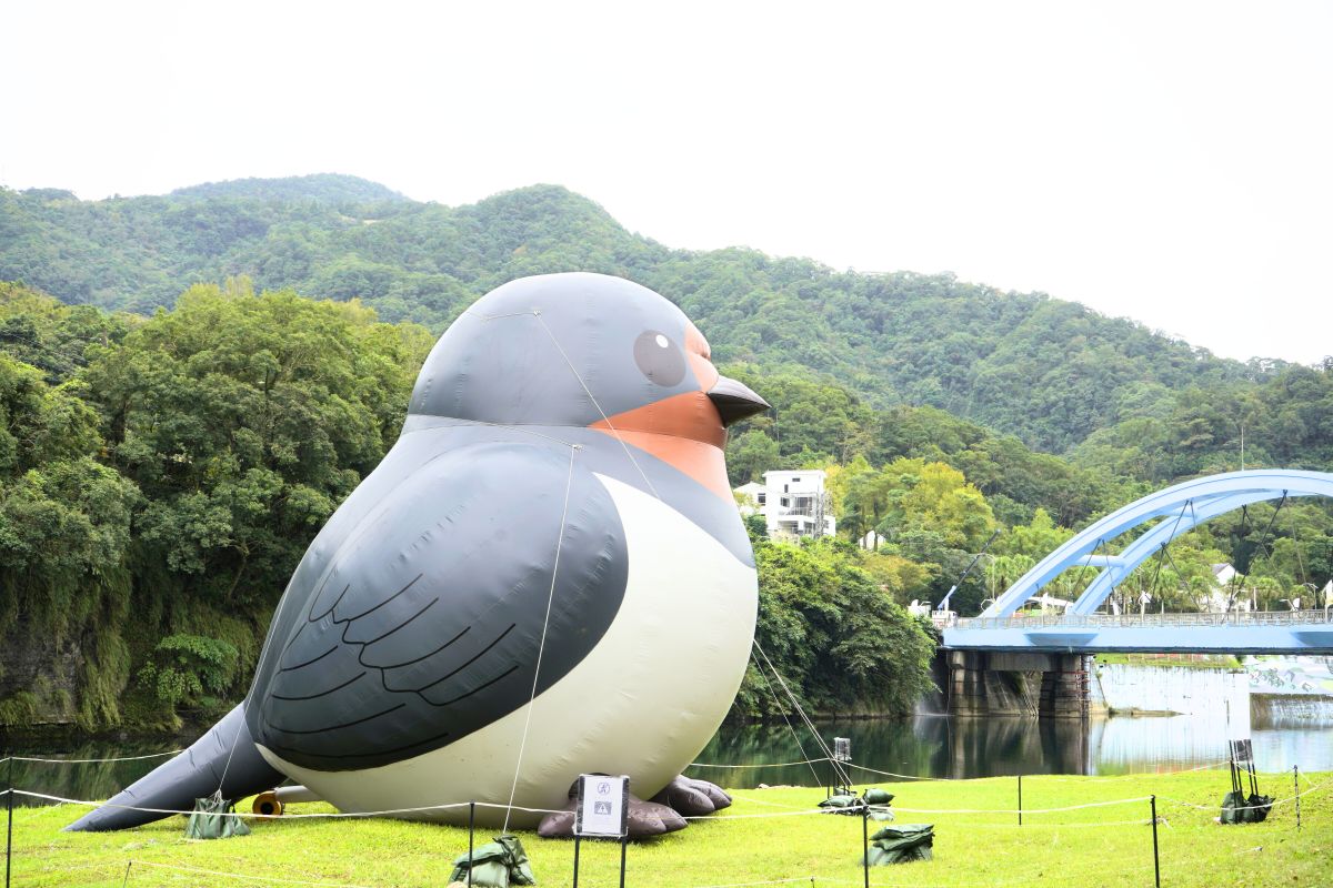 入冬就到坪林暖心走走　來一趟北勢溪畔舒心旅程