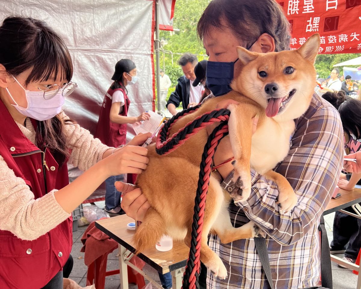 世界強化免疫日守護毛孩健康　獸醫傳授三大養護關鍵