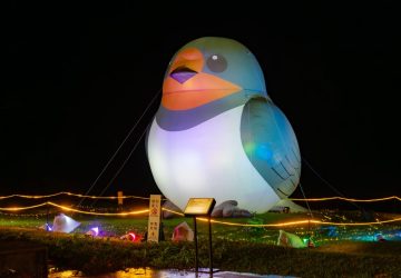 巨型家燕光影裝置點亮坪林　2025冬至坪安夜派對閃亮登場