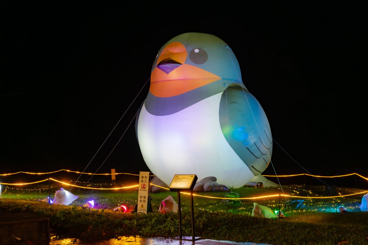 巨型家燕光影裝置點亮坪林　2025冬至坪安夜派對閃亮登場