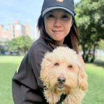 臉書一周破三十三萬觸及　八里萌犬米克斯成功找到家