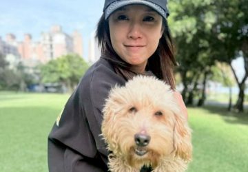 臉書一周破三十三萬觸及　八里萌犬米克斯成功找到家