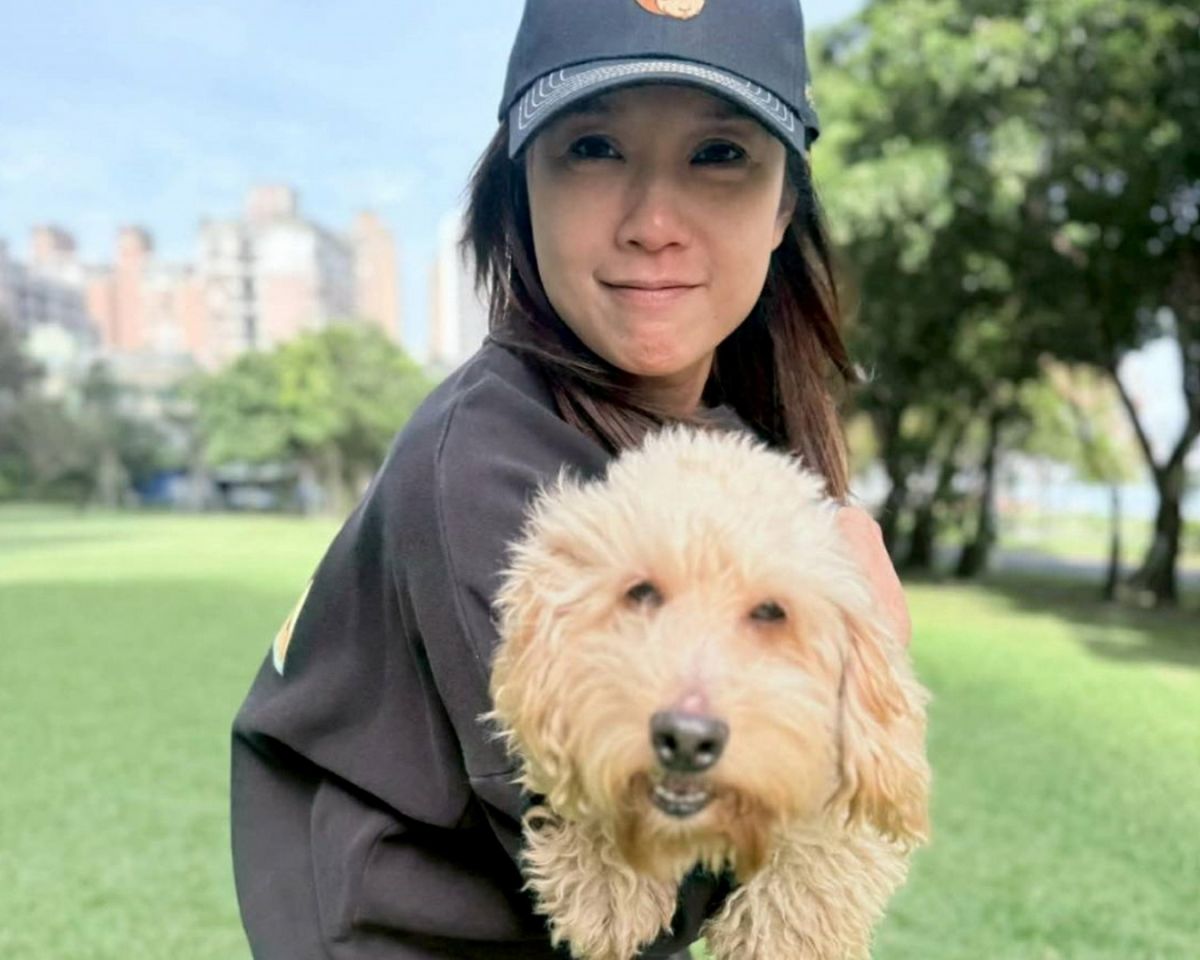 臉書一周破三十三萬觸及　八里萌犬米克斯成功找到家