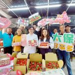 太保市草莓季甜蜜登場　7大串聯採摘地圖、限定提盒吸睛