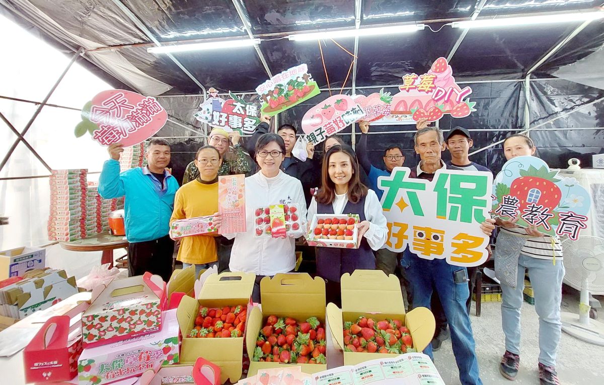 太保市草莓季甜蜜登場　7大串聯採摘地圖、限定提盒吸睛