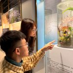 黃金博物館雙常設展煥新　金工美學與礦山奧秘一次看