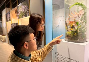 黃金博物館雙常設展煥新　金工美學與礦山奧秘一次看