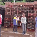 防堵禽流感跨境入侵　新北動保處突擊查核禽場守食安