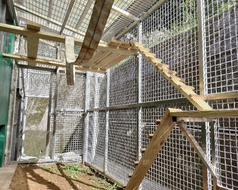 動保五安全國領先　新北打造全安動保-fun-城市