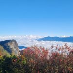 林保署推出「阿里山×高鐵國旅聯票」　春遊嘉義最「馬」吉