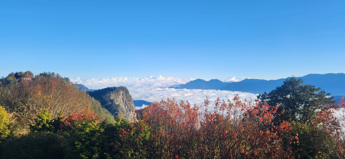 林保署推出「阿里山×高鐵國旅聯票」　春遊嘉義最「馬」吉