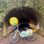 低碳慢旅正夯　新北觀旅局推三大綠色一日遊路線