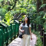 新北春節走春　觀光旅遊局推薦祈福健行老街全攻略