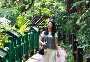 新北春節走春　觀光旅遊局推薦祈福健行老街全攻略