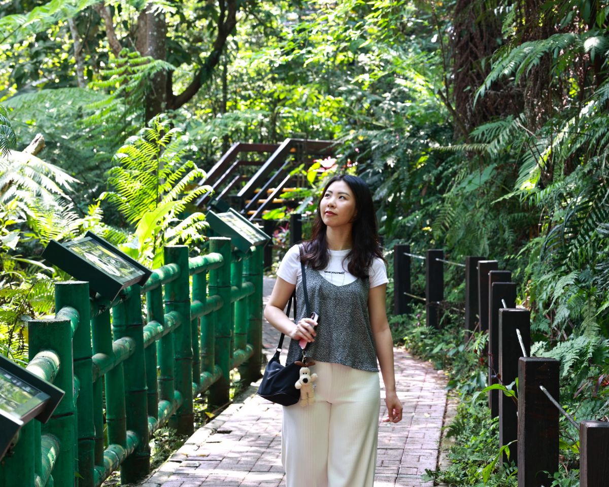 新北春節走春　觀光旅遊局推薦祈福健行老街全攻略