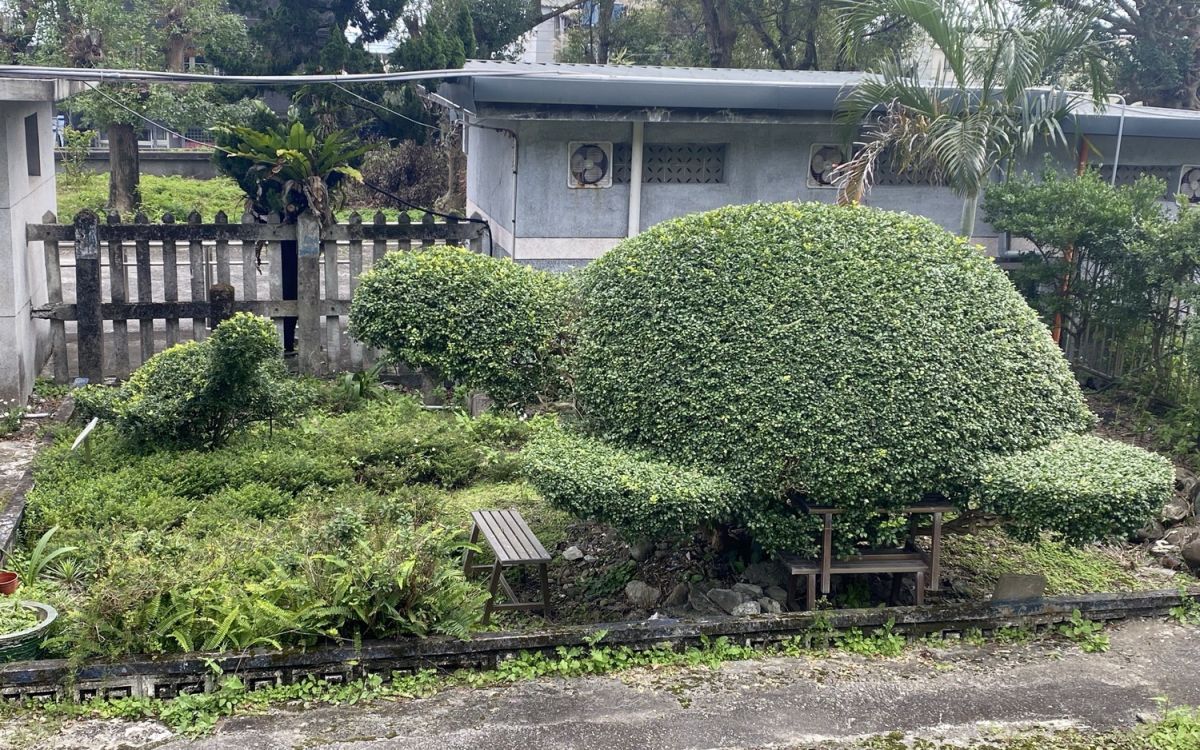 低碳踏青！新春搭臺鐵遊花東　秘境小站走春趣