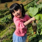 新春遊三芝拔好彩頭　親子食農樂遊首選