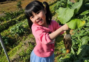 新春遊三芝拔好彩頭　親子食農樂遊首選