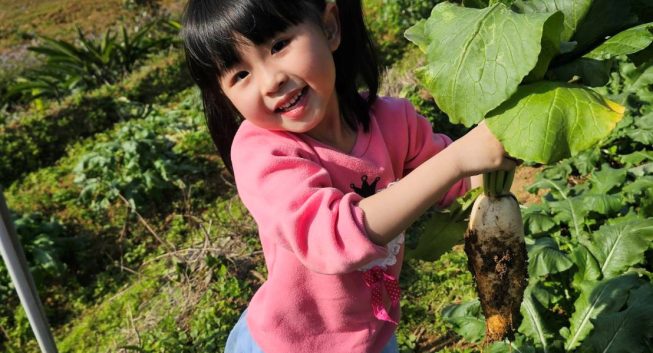 新春遊三芝拔好彩頭　親子食農樂遊首選