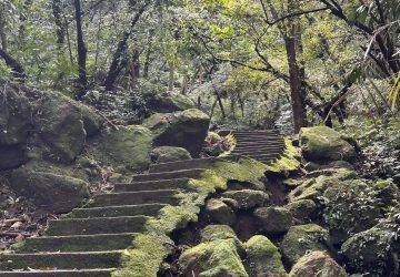 微笑山線春季限定　賞螢野餐岩稜一次收穫