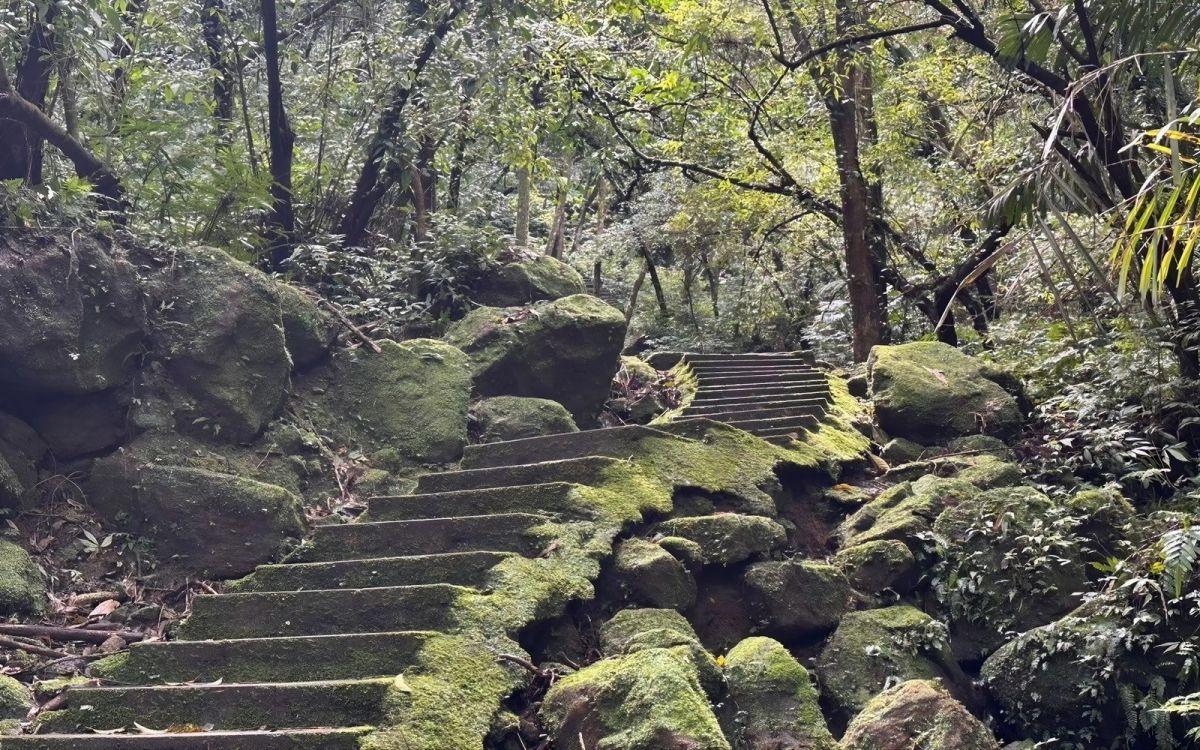微笑山線春季限定 賞螢野餐岩稜一次收穫