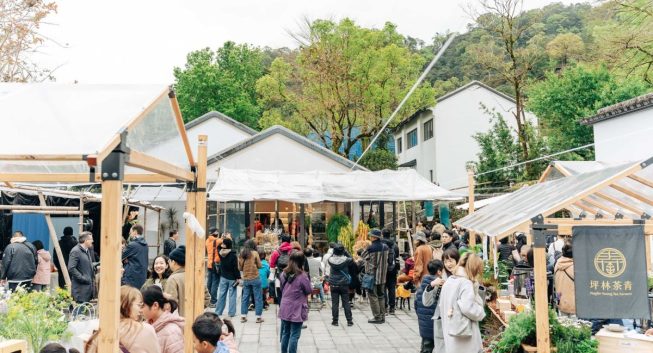 「2026茶山繚療」春日登場　走進大茶山療癒身心