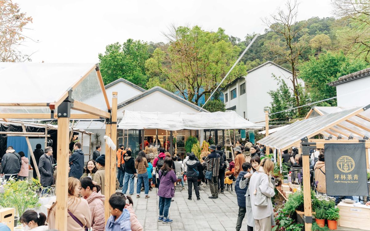 「2026茶山繚療」春日登場　走進大茶山療癒身心