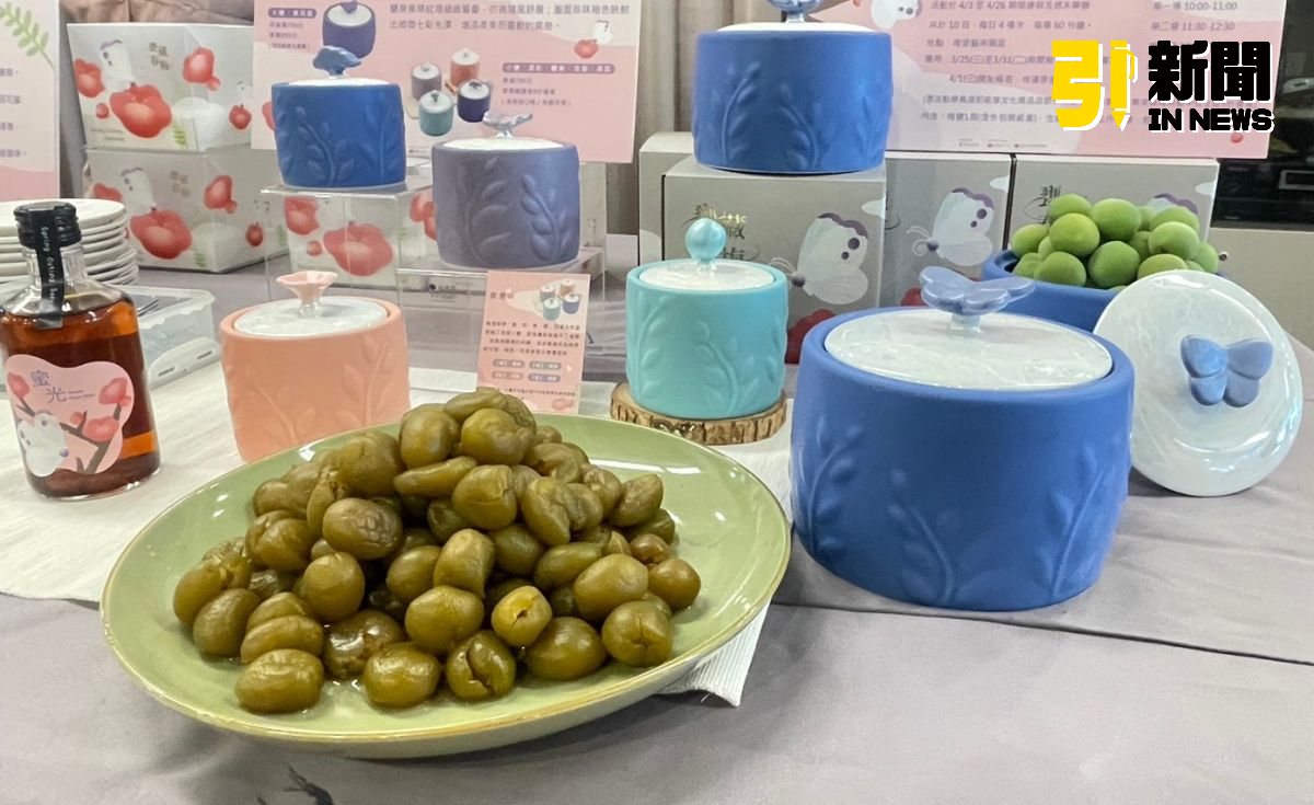 陶博館春遊三鶯登場　甕藏春梅體驗夯