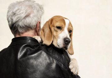 助攻b2b產線高效升級！勤億推生技原料搶攻銀髮與寵物商機