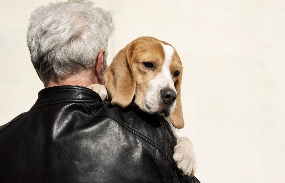 助攻b2b產線高效升級!勤億推生技原料搶攻銀髮與寵物商機