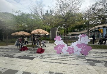 土城櫻花生活節登場　海山廣場變身春日新地標