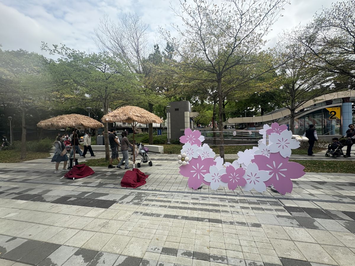 土城櫻花生活節登場　海山廣場變身春日新地標