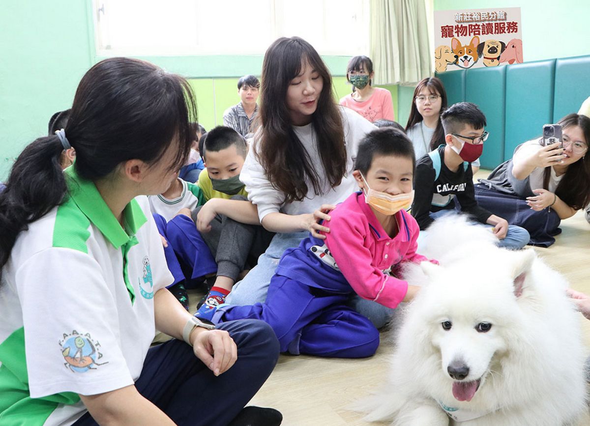狗醫生陪讀進校園　新北市立圖書館推寵物閱讀療癒力