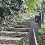 微笑山線走進山林音樂會　療癒身心新體驗