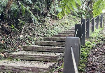 微笑山線走進山林音樂會　療癒身心新體驗